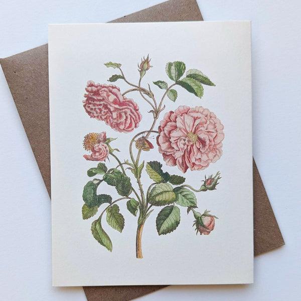 Antique Rose Note Card
